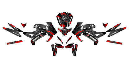 PULSAR NS 200 PERSONALIZADA V8