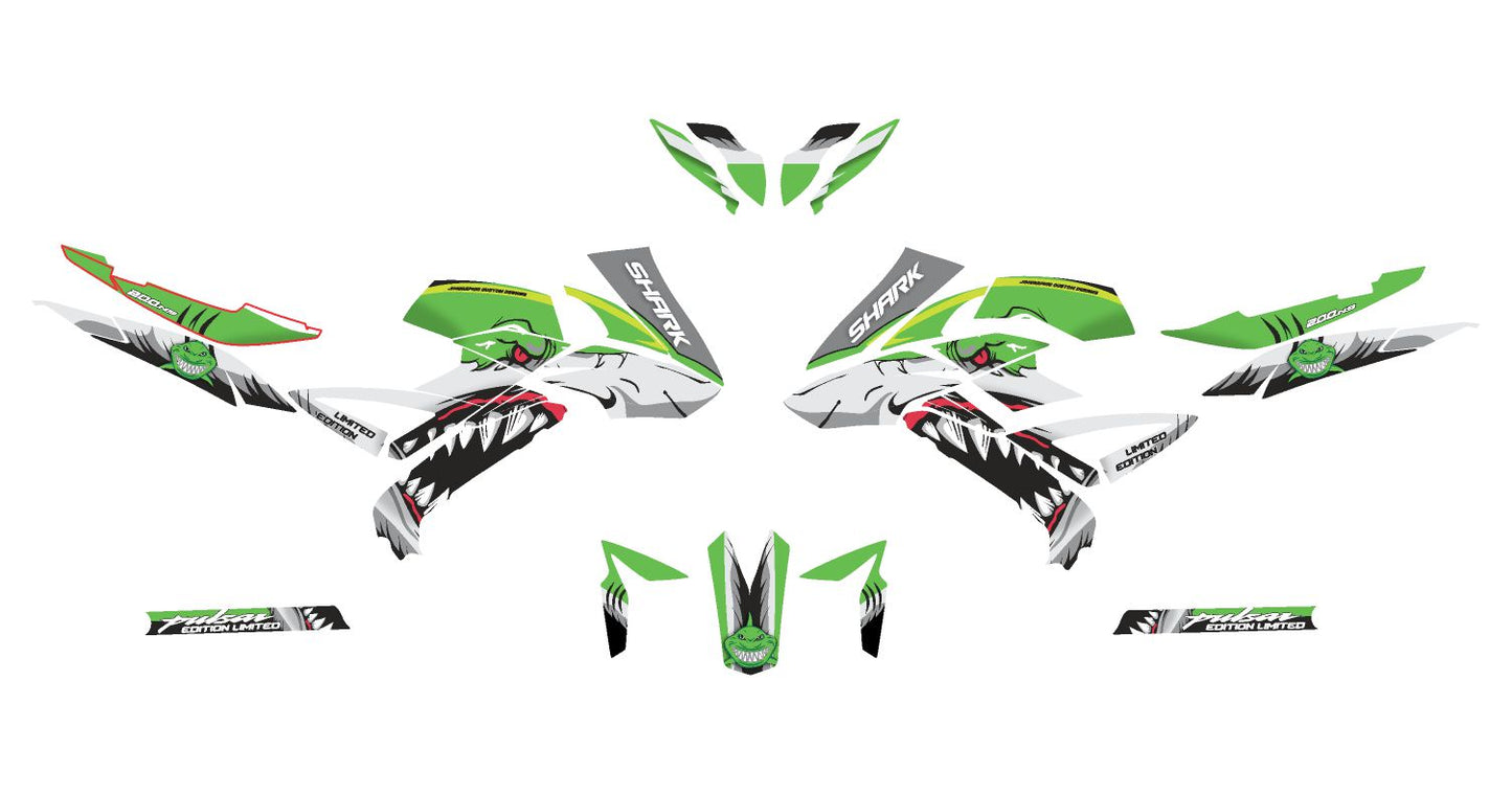 PULSAR NS 200 PERSONALIZADA V10