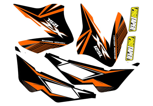 XR 125 V2