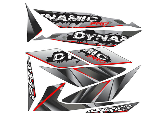 DYNAMIC TIPO ORIG V2