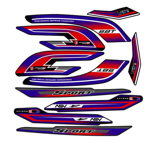 TVS SPORT 100 TIPO ORG V2